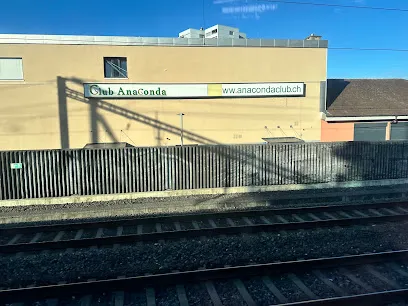 Image de Club Anaconda