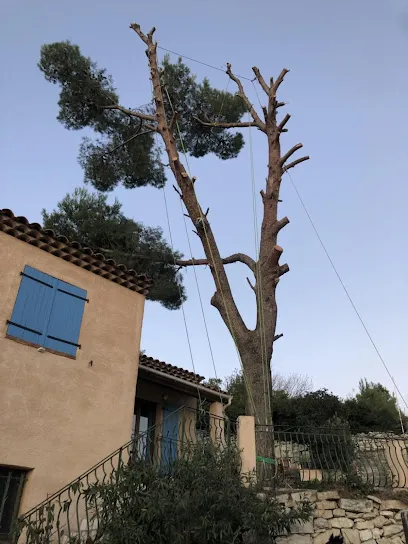 Image de COUP'TOUT SERVICES