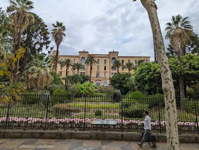 Image de Koya Ajaccio - Ajaccio