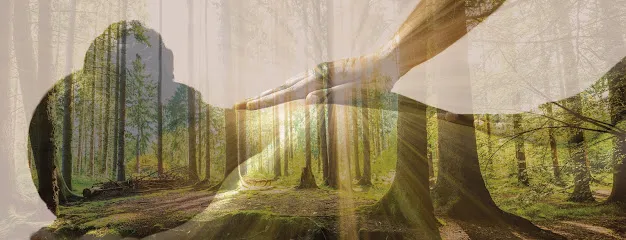 Image de Le Chemin de l'Éveil par Zain & Zen