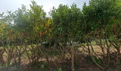 Image de LE VIP CLUB