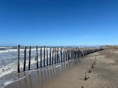 Image de PLAGE NATURISTE DE L'ESPIGUETTE (L' Anse)