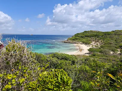 Image de Pointe Tarare - Plage Naturiste